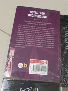 Classic Literature Book Bundle
