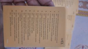 Vocabulary Flash Cards