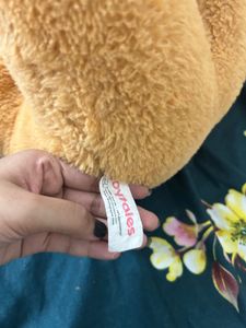 Cute Brown Teddy Bear