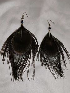 Peacock Feather Earrings