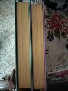 Fiction Books (Novels 2)