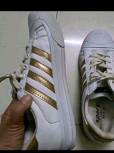 Brand Sparx Canvas Shoes