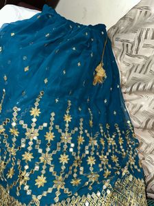sea green Lehenga Choli