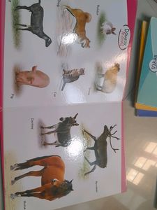 Vikas Board Book-Navneet-Domestic, Aquatic Animal