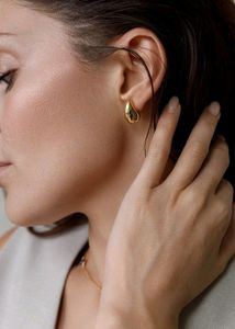 Golden And Silver Drops Earrings