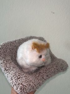 Cat Toy With Voice