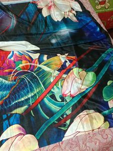 Colorful satin saree