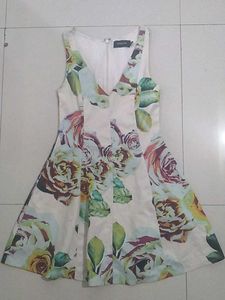 Floral Print Fit & Flare Dress