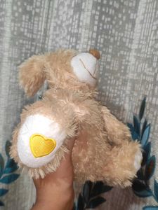 Teddy Bear