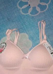 Light Pink Bra