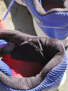 Original Nike Downshifter 6 With New Mesh(Repaired)