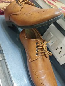Classic Brown Formal Shoes