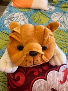 Cute Plush Dog soft toy