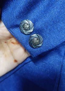 blue colour shiny coat