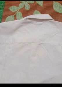 Max Shirt For Boys