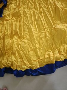 Beautiful Layerd Skrit And Yellow Top