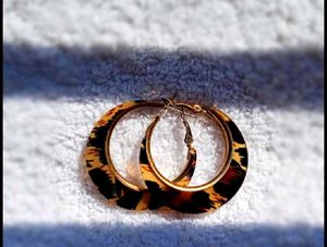 2 Hoops Earrings