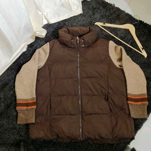 Crocodile Jacket
