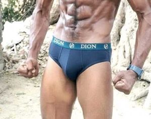 Brief