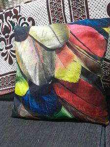 Cushion With Cover
