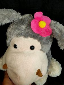 Miss Donkey😄 Big Size