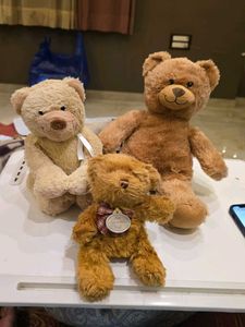 Teddy Bear Trio