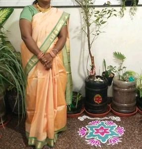 pure kanchi silk  Saree