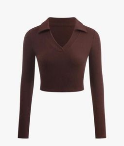 Brown Long Sleeve Crop Top