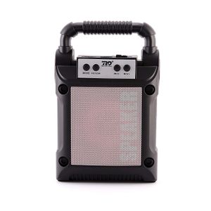RD SPEAKER BRAND NEW