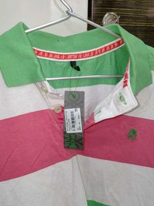 Striped Polo Shirt