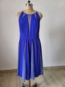 Cobalt Blue Lace Inset Dress