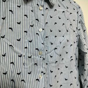 Cool Striped Shirt