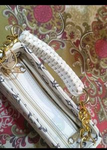 Lv Bag