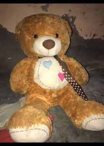 Teddy 🧸
