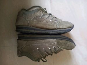 Used Shoe But No flaws