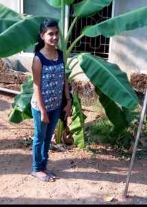 Donation Clothes