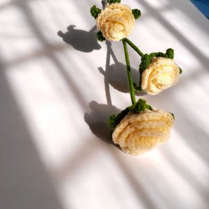 Valentines day rose