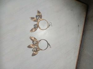 Dangle Earrings