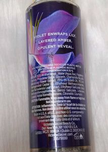 VS Violet Lily
