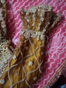 Lehenga And knee length tail Cut top