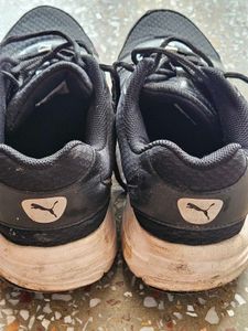 Original Puma Sports Shoes For Girls