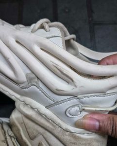 Cool White Sneakers