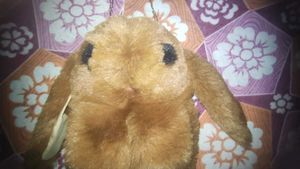 Cute Soft Toy Bag