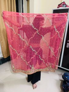 Elegant Lehenga Choli