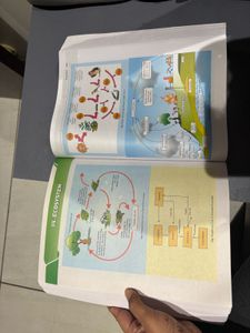Gear Up Objective NCERT Biology Class XI + XII