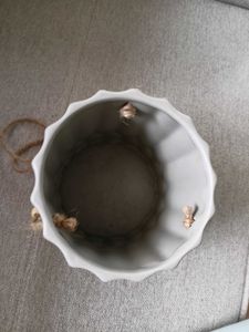 Home Center Hanging Planter