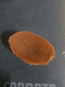 Makeup Brush