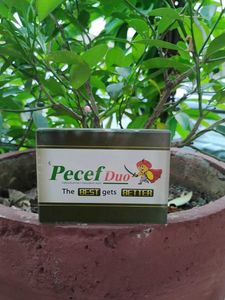 Paper Weight For Study Table