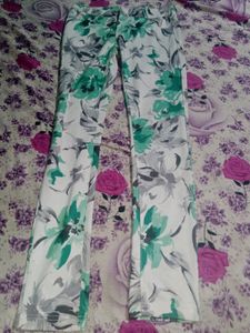 Printed Green And White Pant
