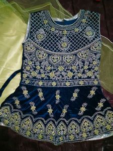 Embroidered Lehenga Choli Set
